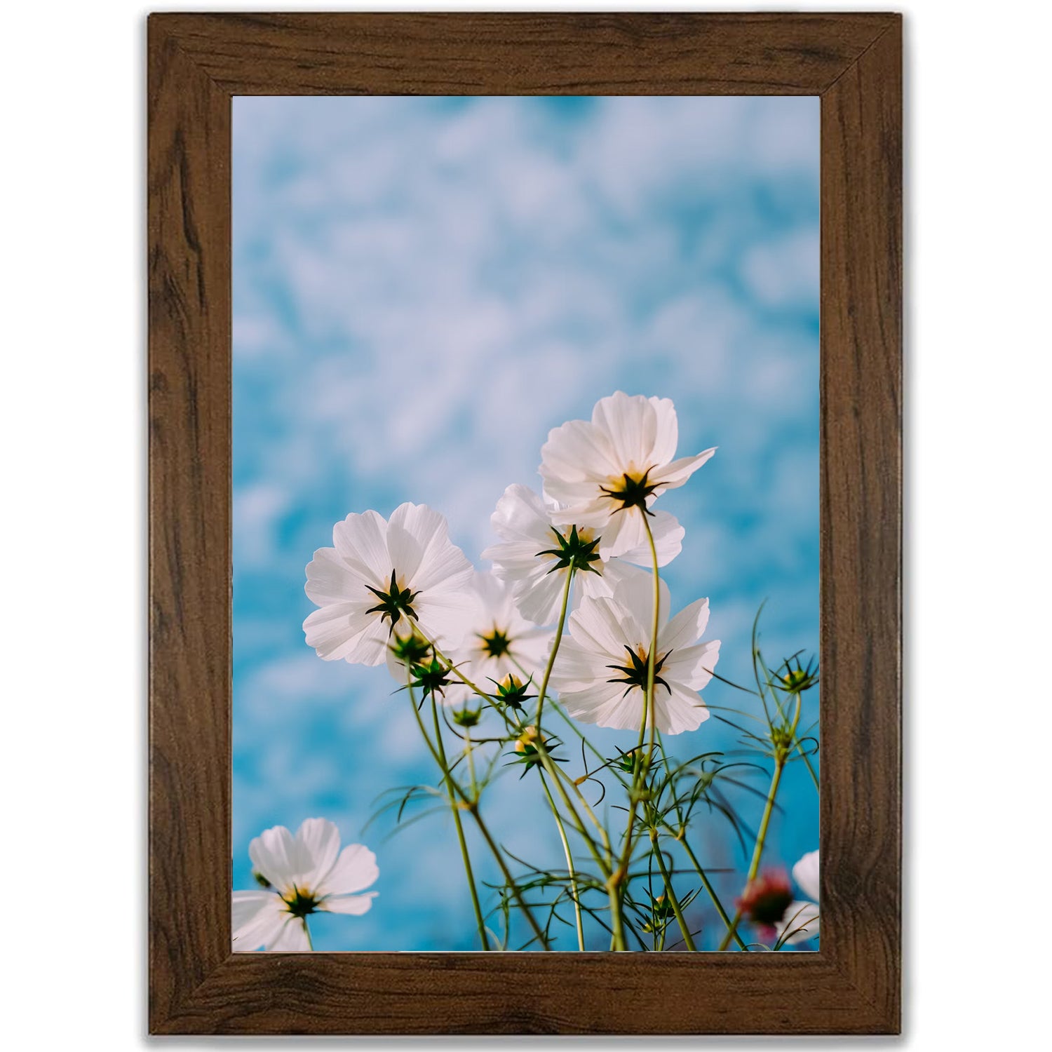 Multi Wooden Grains Photo Frames for Wall